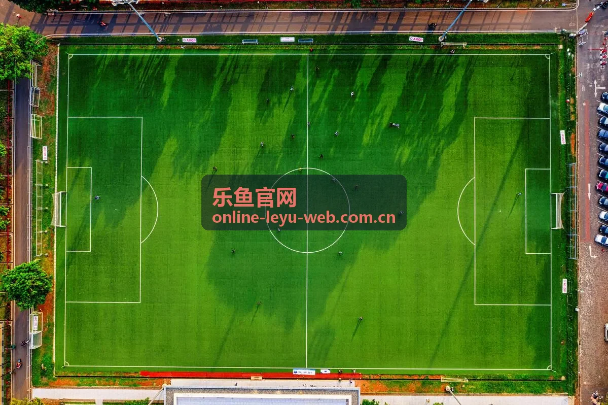 乐鱼官网体育数据可视化复盘方式分析
